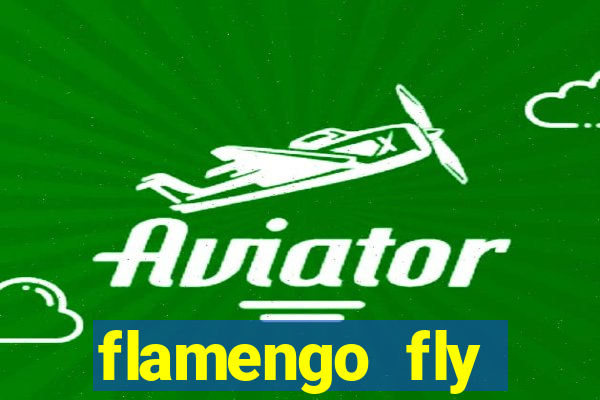 flamengo fly emirates ultimas noticias